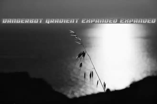 Dangerbot Gradient Expanded Expanded Example 3