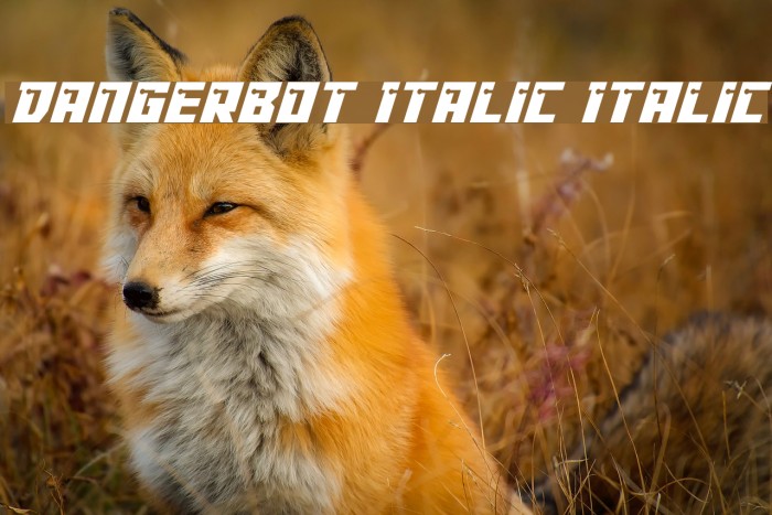 Dangerbot Italic Italic Font examples