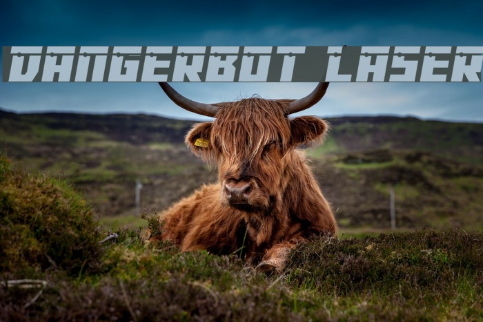 Dangerbot Laser Example 2