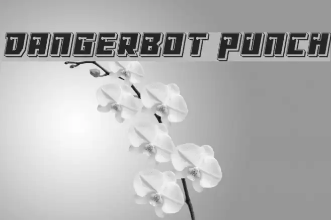 Dangerbot Punch Font examples
