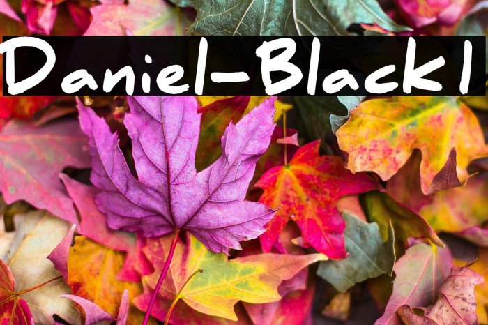 Daniel-Black1 Example 2