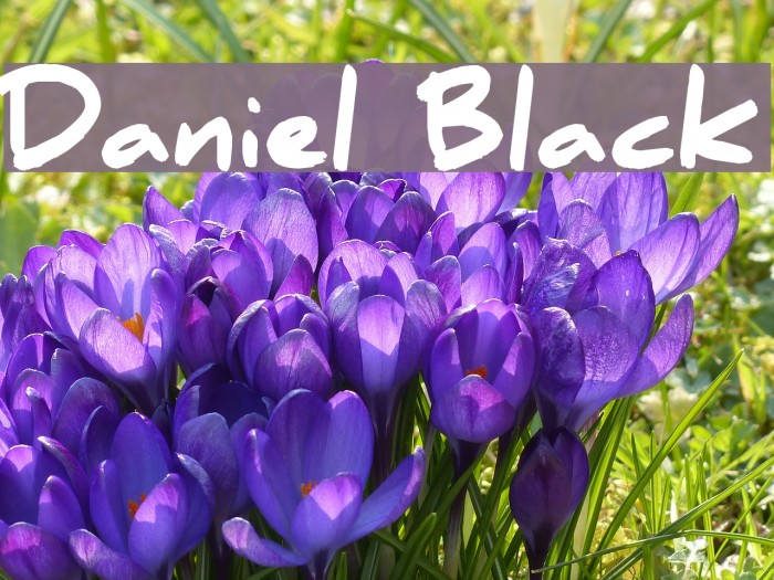 Daniel Black Font examples