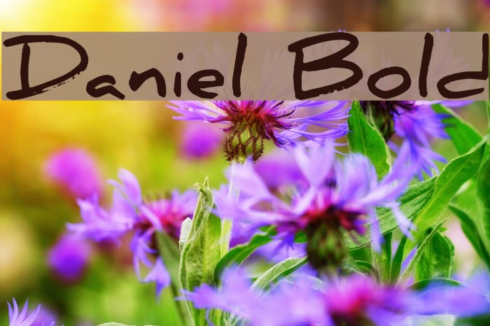 Daniel Bold Font examples