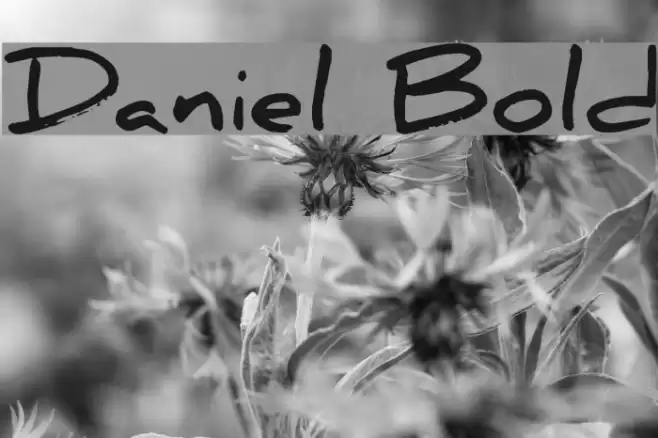 Daniel Bold Font examples