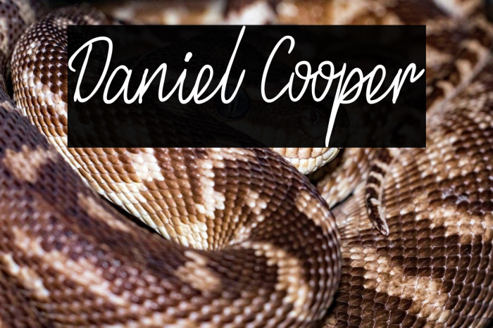 Daniel Cooper Example 1