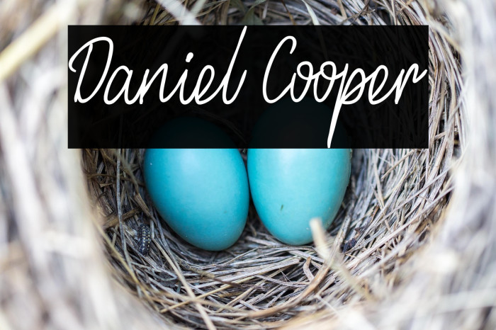 Daniel Cooper Example 3