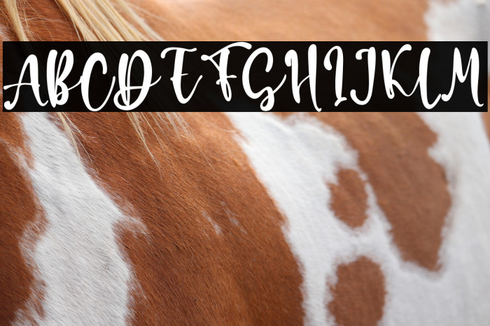 Daniel Rachel Example 2