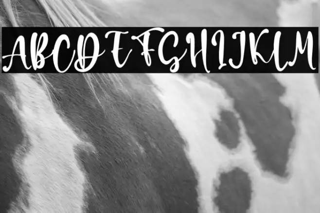 Daniel Rachel Example 2