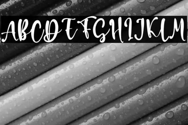 Daniel Rachel Example 3