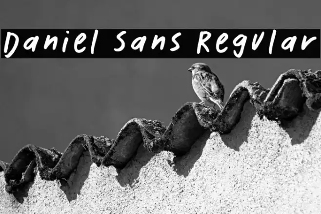 Daniel Sans Regular Example 1