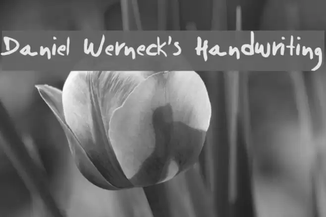 Daniel Werneck's Handwriting Font examples