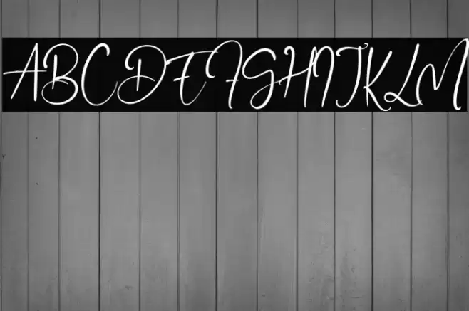 DanielDavis Font examples