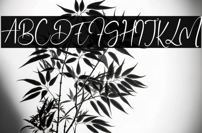 DanielDavis Example 2