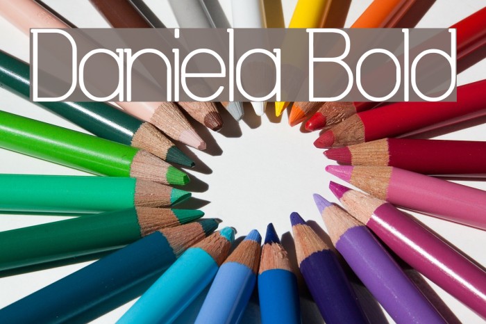 Daniela Bold Font examples