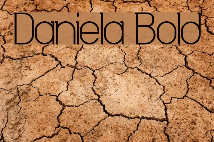 Daniela Bold Font examples