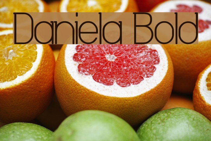 Daniela Bold Fonte examples