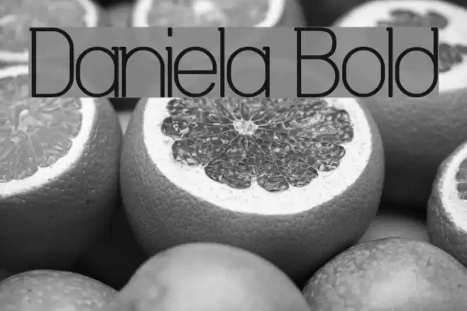 Daniela Bold Fonte examples