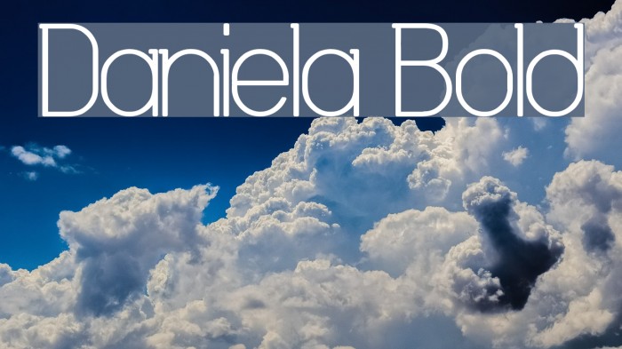 Daniela Bold Fonte examples
