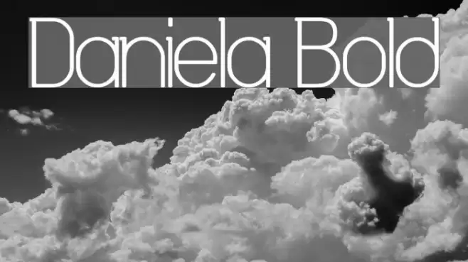 Daniela Bold Fonte examples