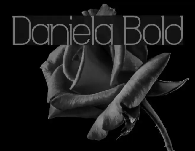 Daniela Bold Fonte examples