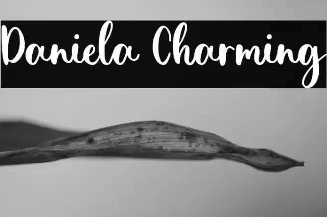Daniela Charming Шрифта examples