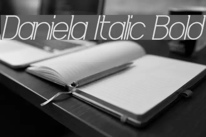 Daniela Italic Bold Font examples