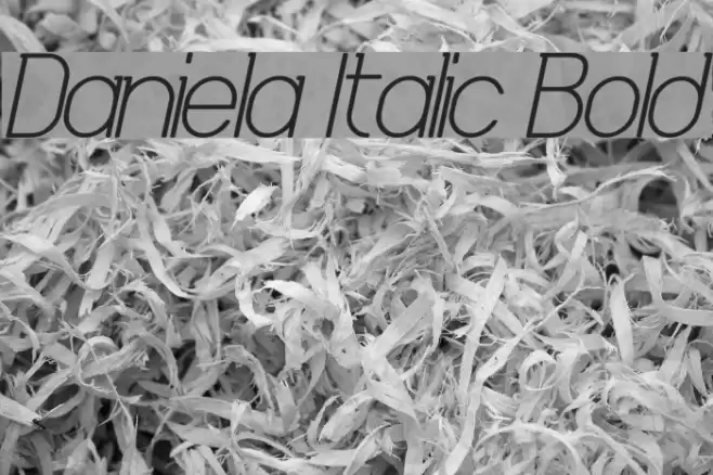 Daniela Italic Bold Font examples