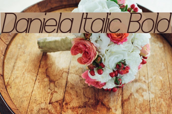 Daniela Italic Bold Font examples