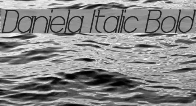 Daniela Italic Bold Font examples