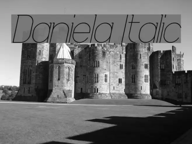 Daniela Italic Font examples