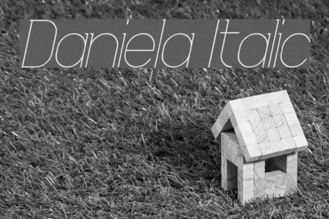 Daniela Italic Font examples