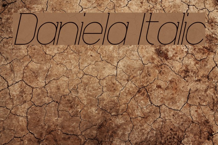 Daniela Italic Font examples