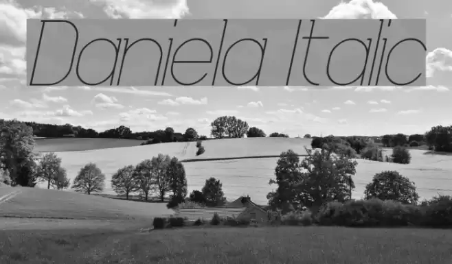 Daniela Italic Font examples