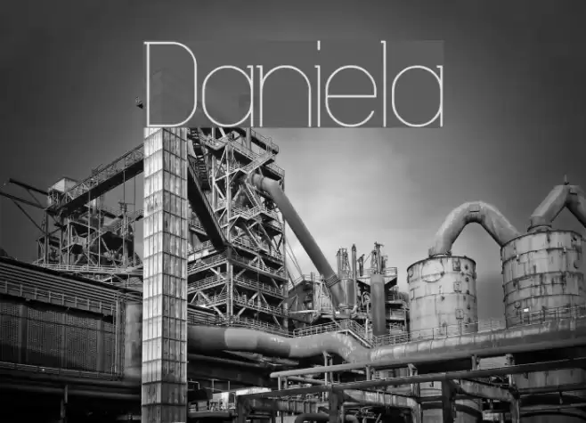 Daniela Font examples