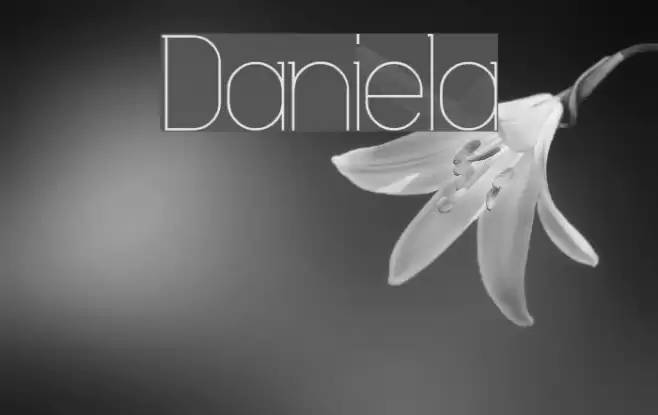 Daniela Font examples