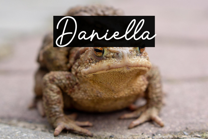 Daniella Example 3