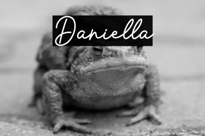 Daniella Font examples