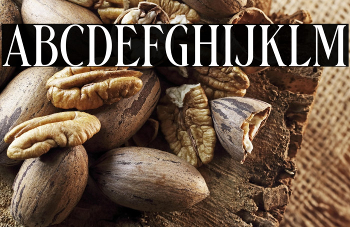 Danielle Harris DEMO Regular Example 2