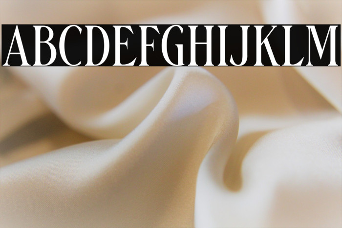 Danielle Harris DEMO Regular Example 3