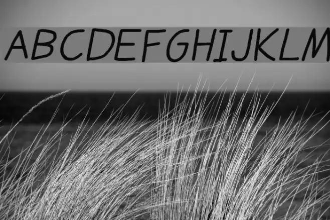 Daniel's Handwriting Bold Italic Font examples