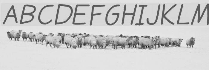 Daniel's Handwriting Bold Italic Font examples