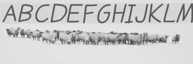 Daniel's Handwriting Bold Italic Font examples