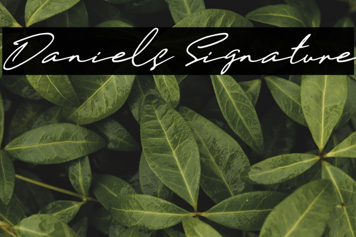 Daniels Signature Example 1