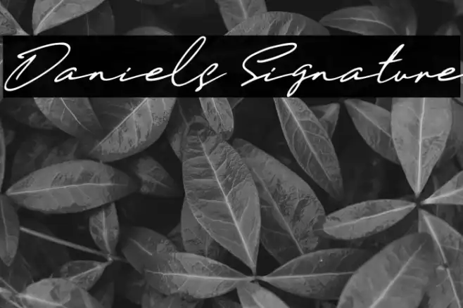 Daniels Signature Example 1