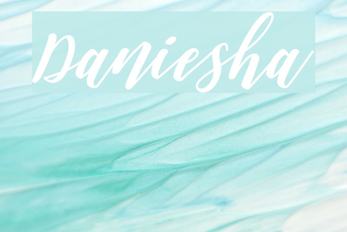 Daniesha Font examples