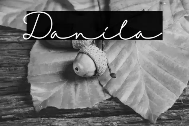 Danila Font examples