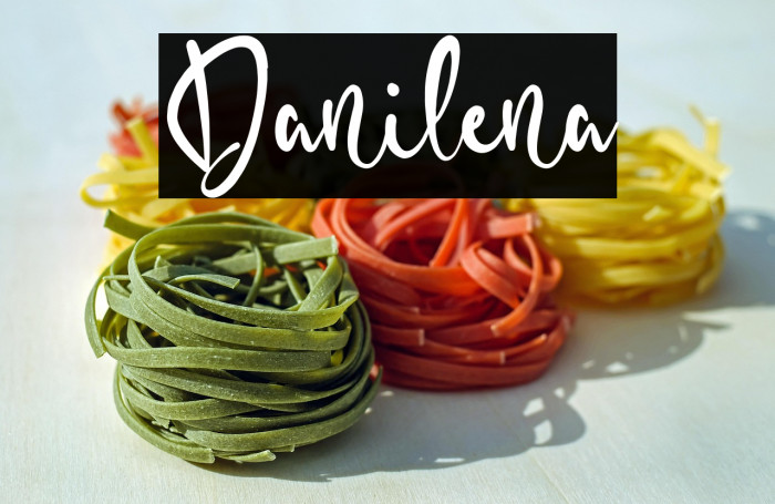 Danilena Example 1