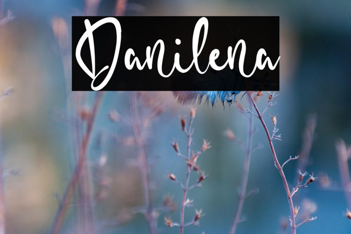 Danilena Example 2