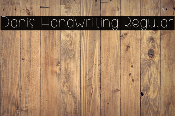 Danis Handwriting Regular Example 3