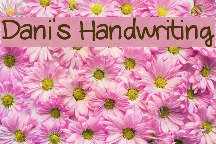 Dani's Handwriting Font examples